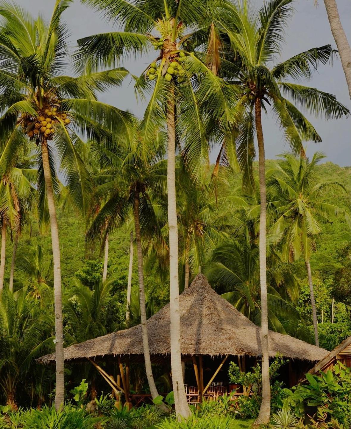 Eco Sanctuaries Nature Lodge Nacpan Beach, El Nido Εξωτερικό φωτογραφία