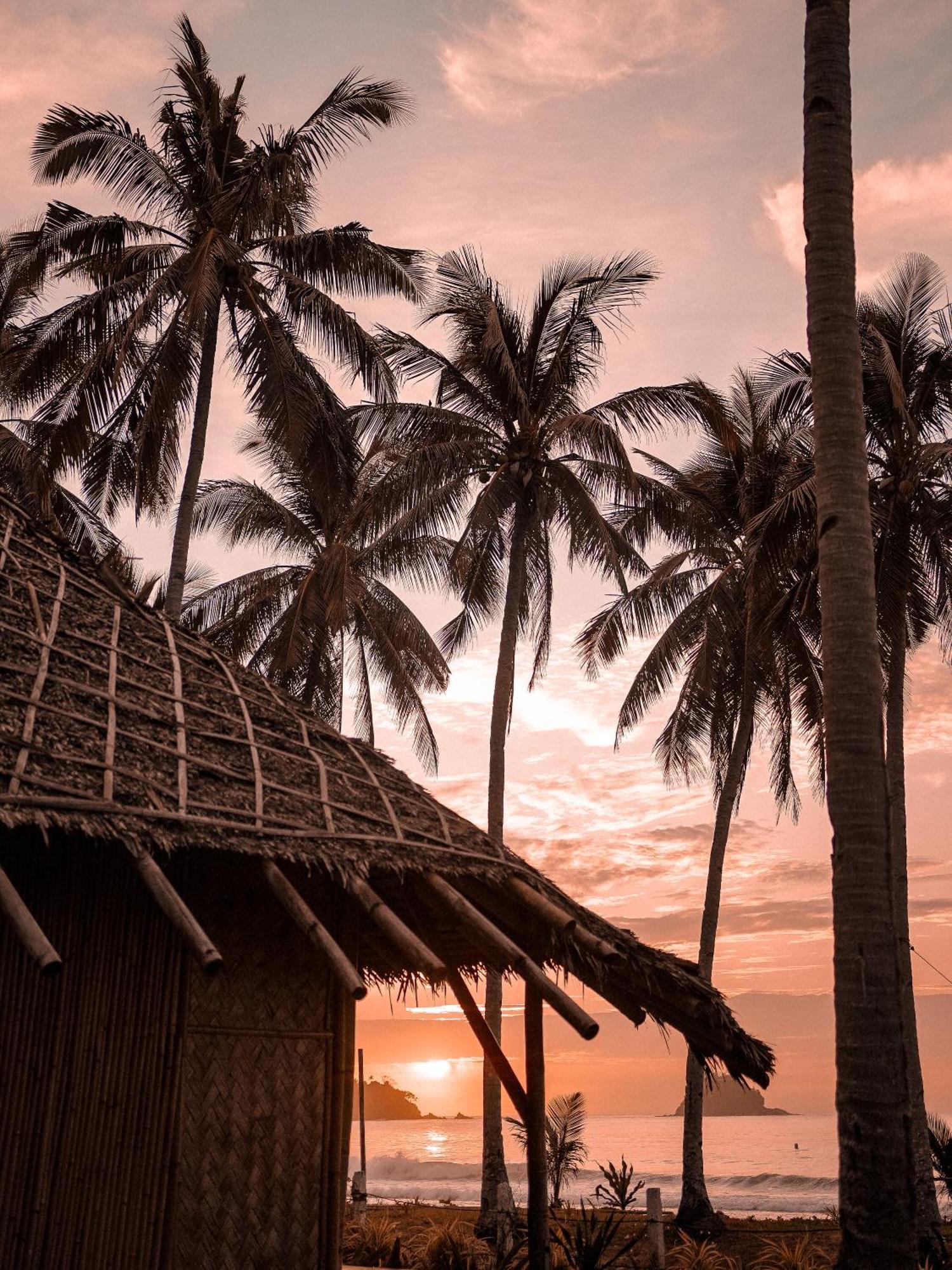 Eco Sanctuaries Nature Lodge Nacpan Beach, El Nido Εξωτερικό φωτογραφία